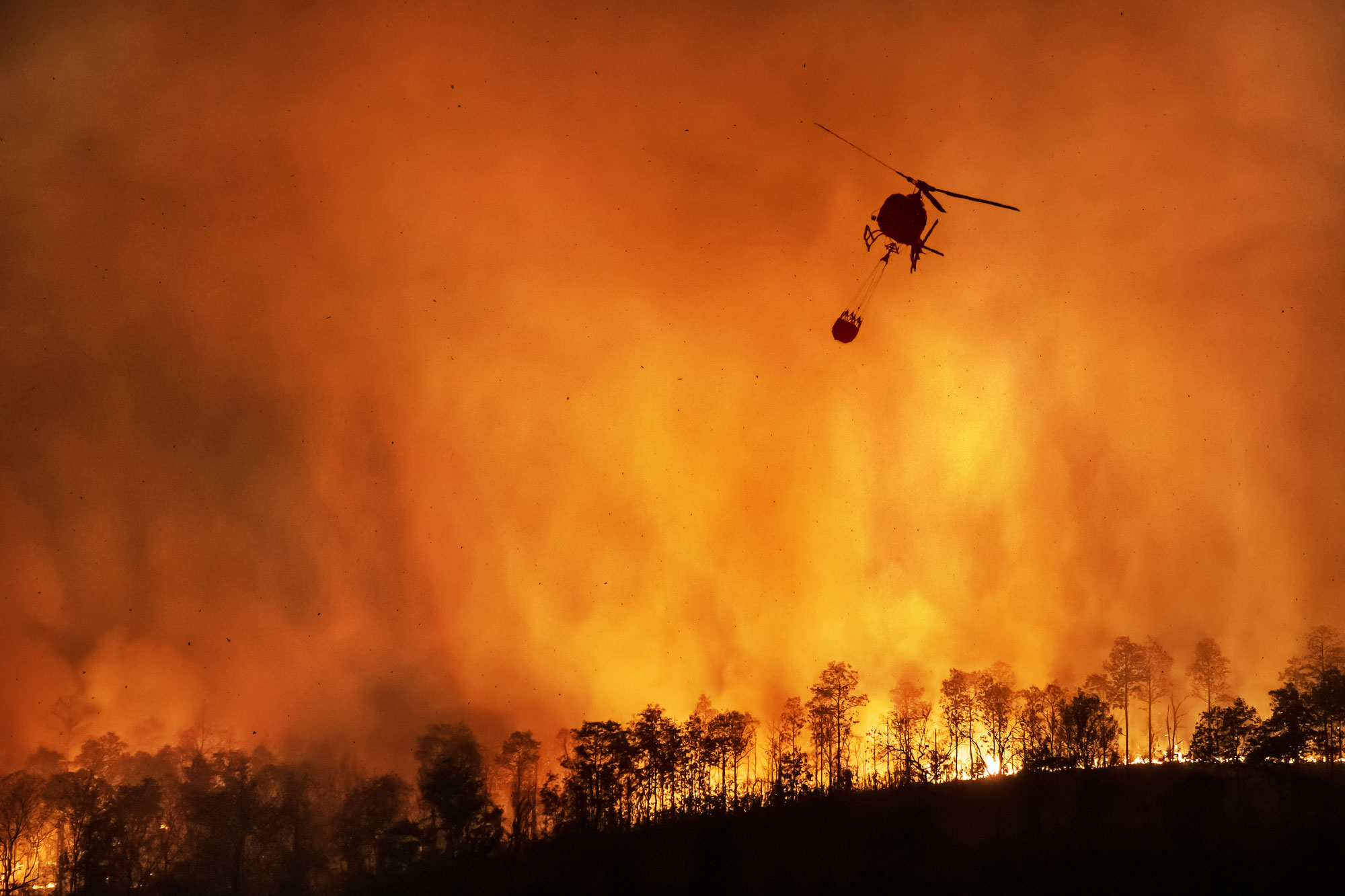 Gefahr durch Wald- und Vegetationsbrände in der Region Hannover