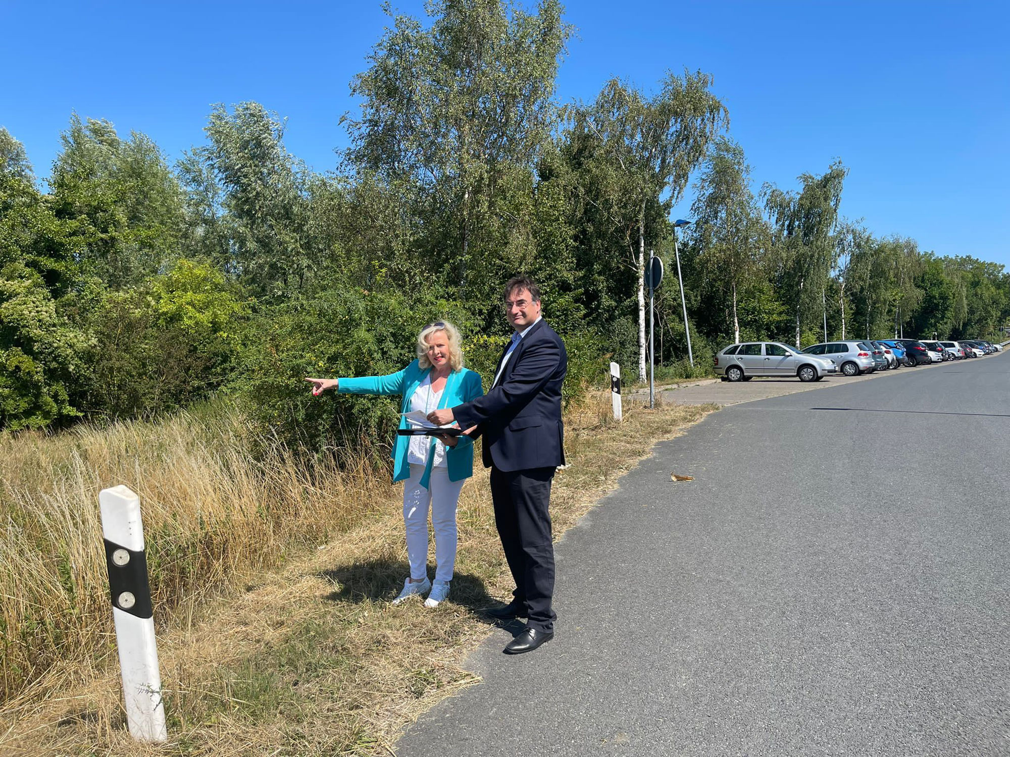 Eidechse durchkreuzt Parkplatzbau