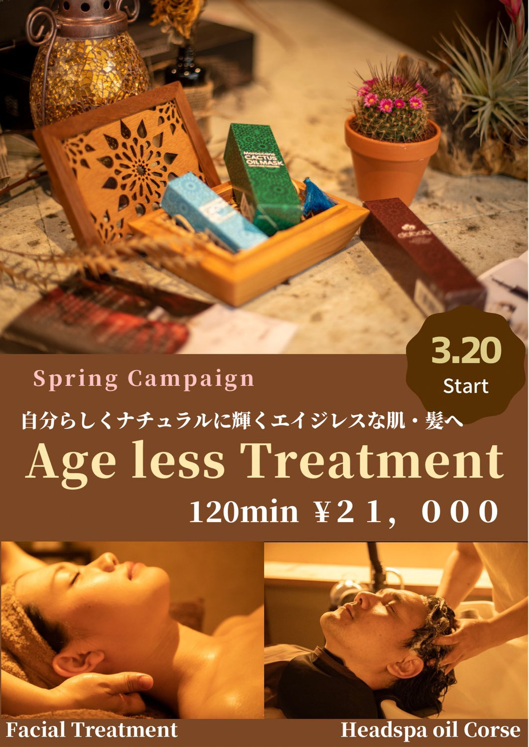 Spring Campaign❁⃘*.ﾟ