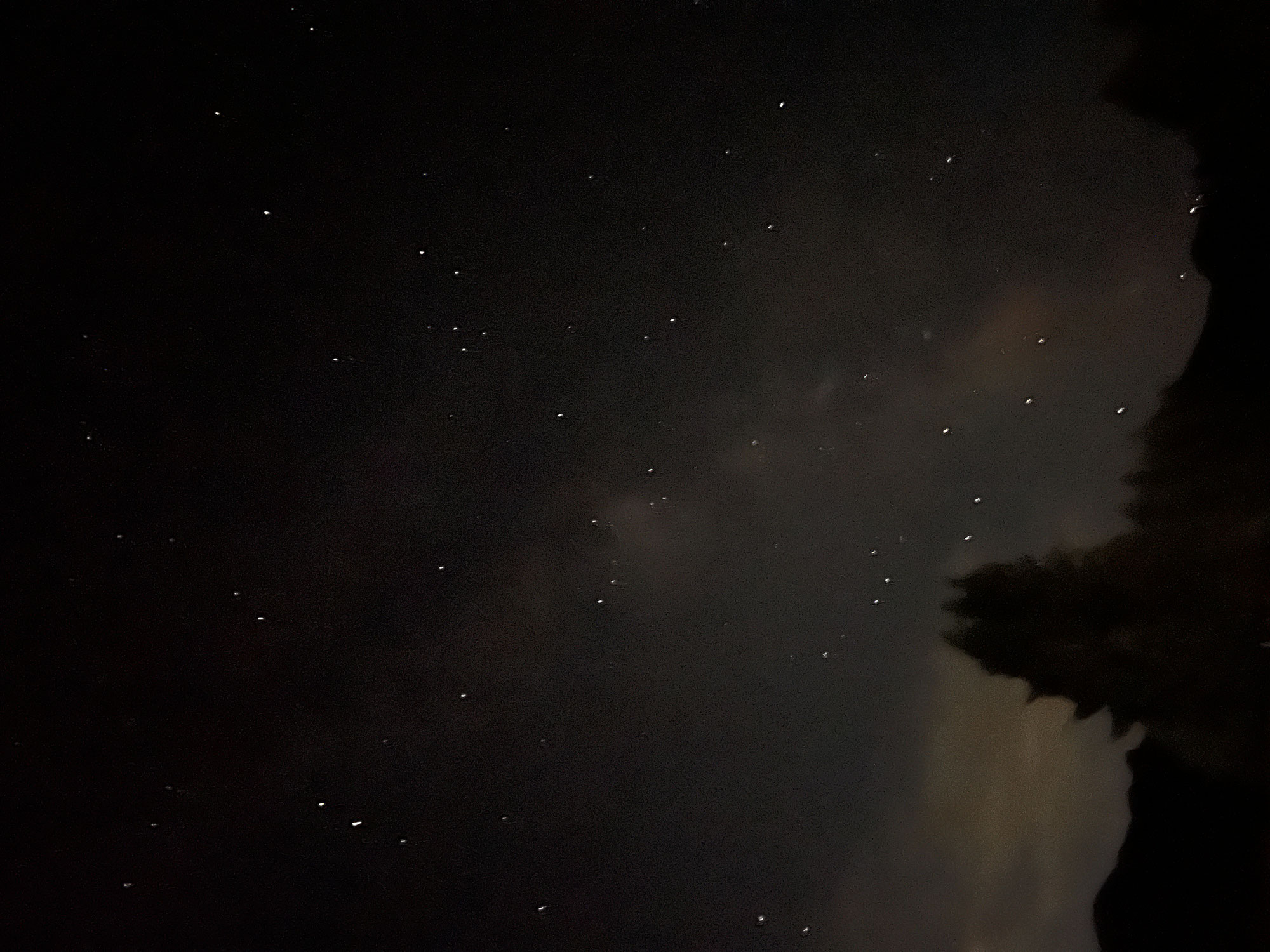 星空観察～ポーラースターも確認