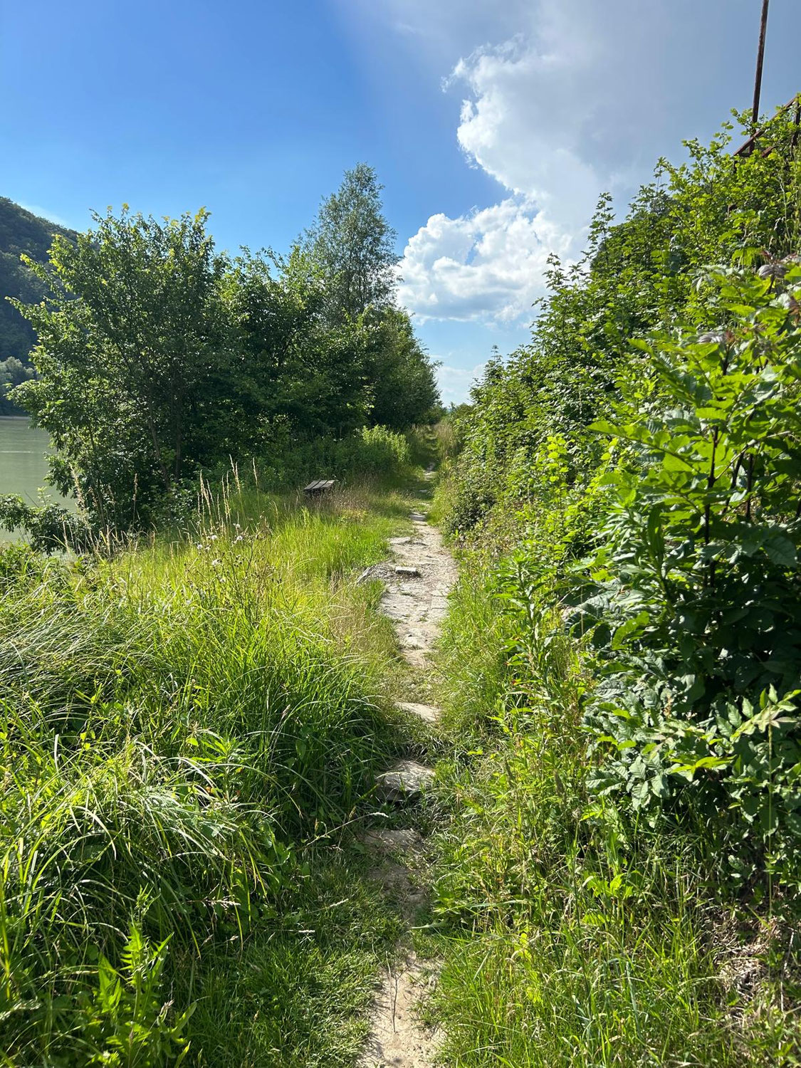 Ausmähen des Treppelweges