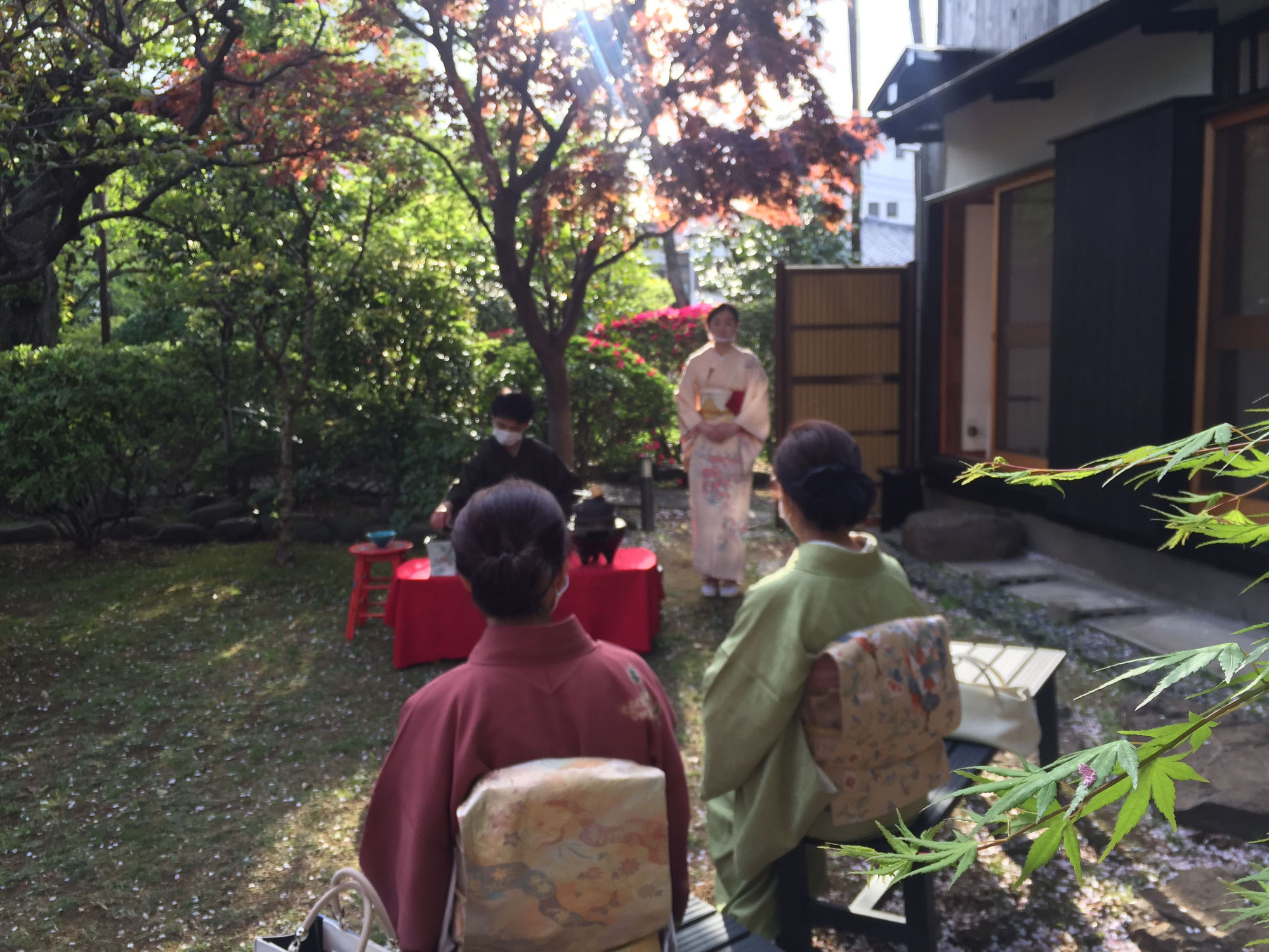 桜の茶会　４日