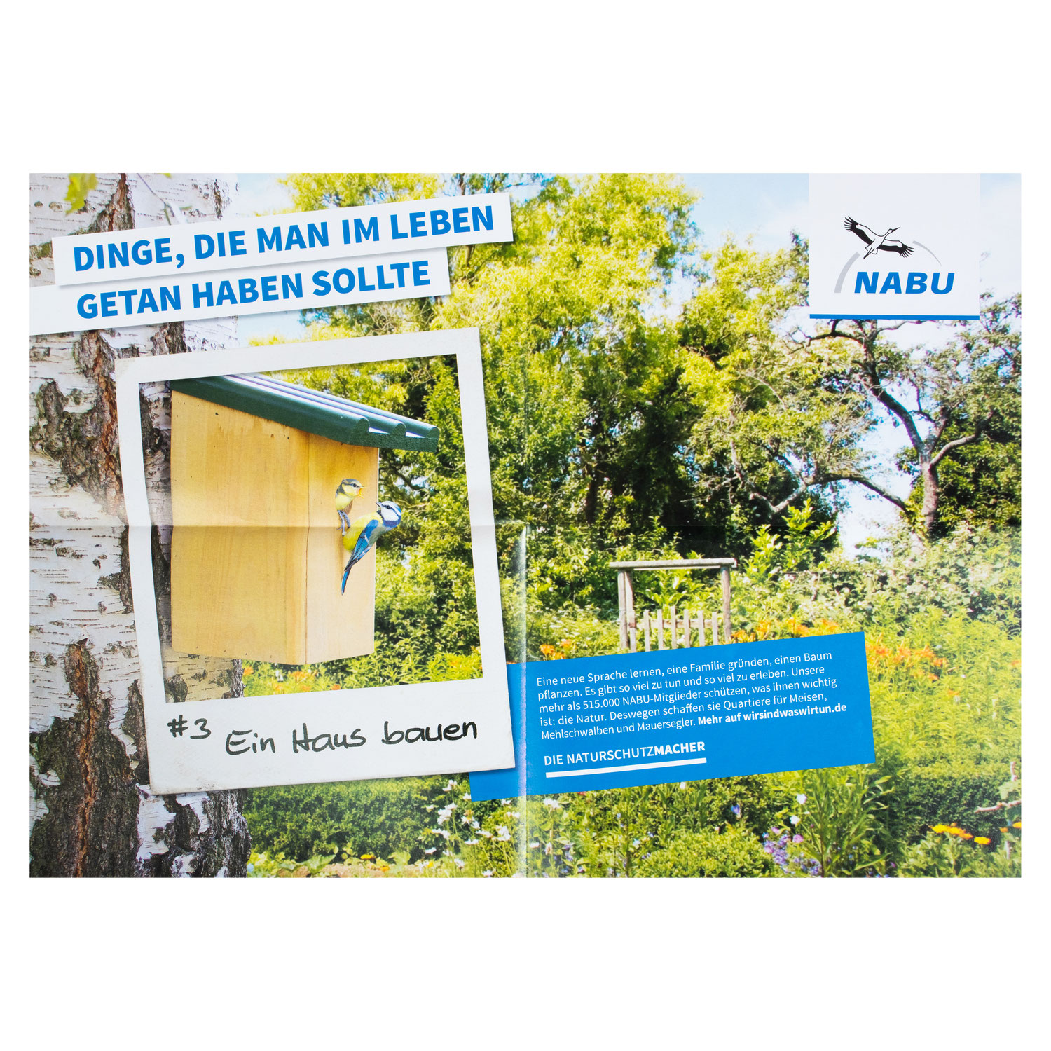 Download Zitat baum pflanzen Free