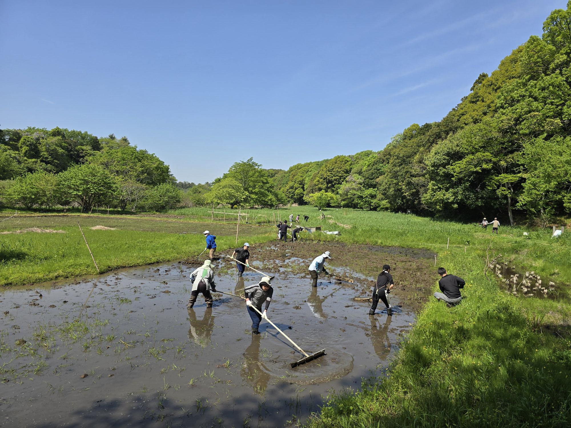 5月の田植えは、18日は満員、11日はあと1組先着順です！