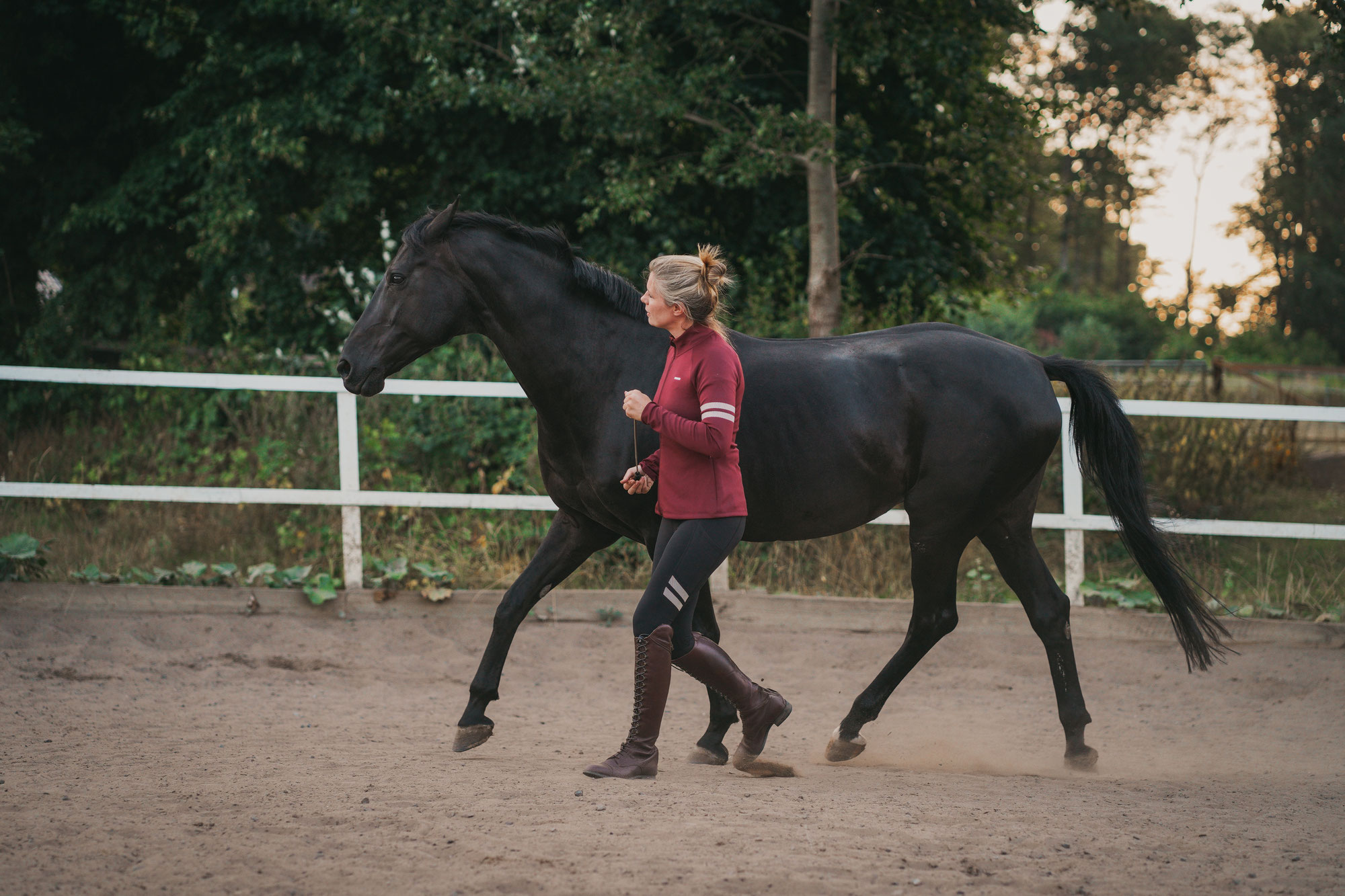 Intervalltraining für Pferde - Effektives Training für Leistung und Fitness