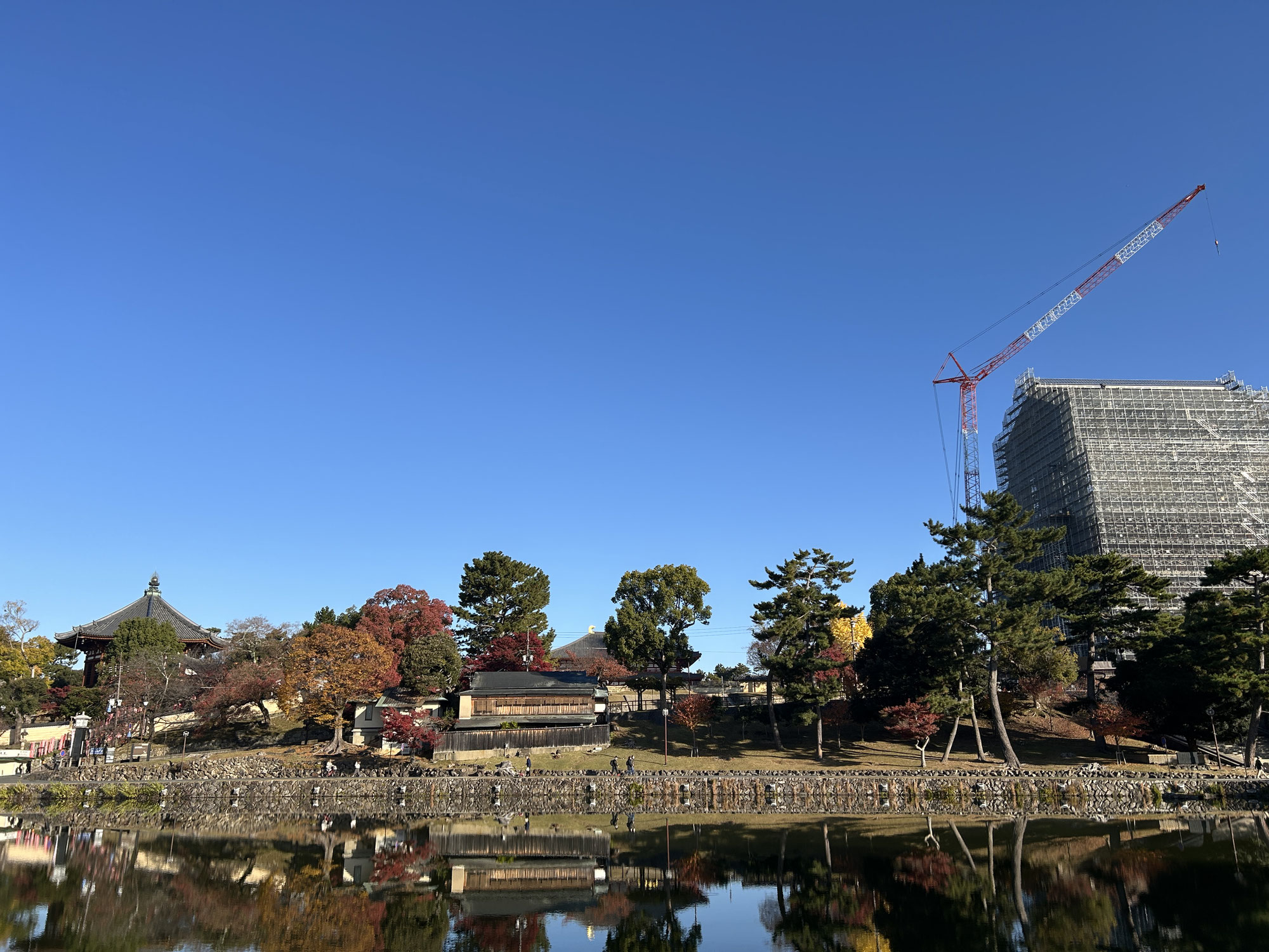 ならまち月燈は8年目を迎えることができました
