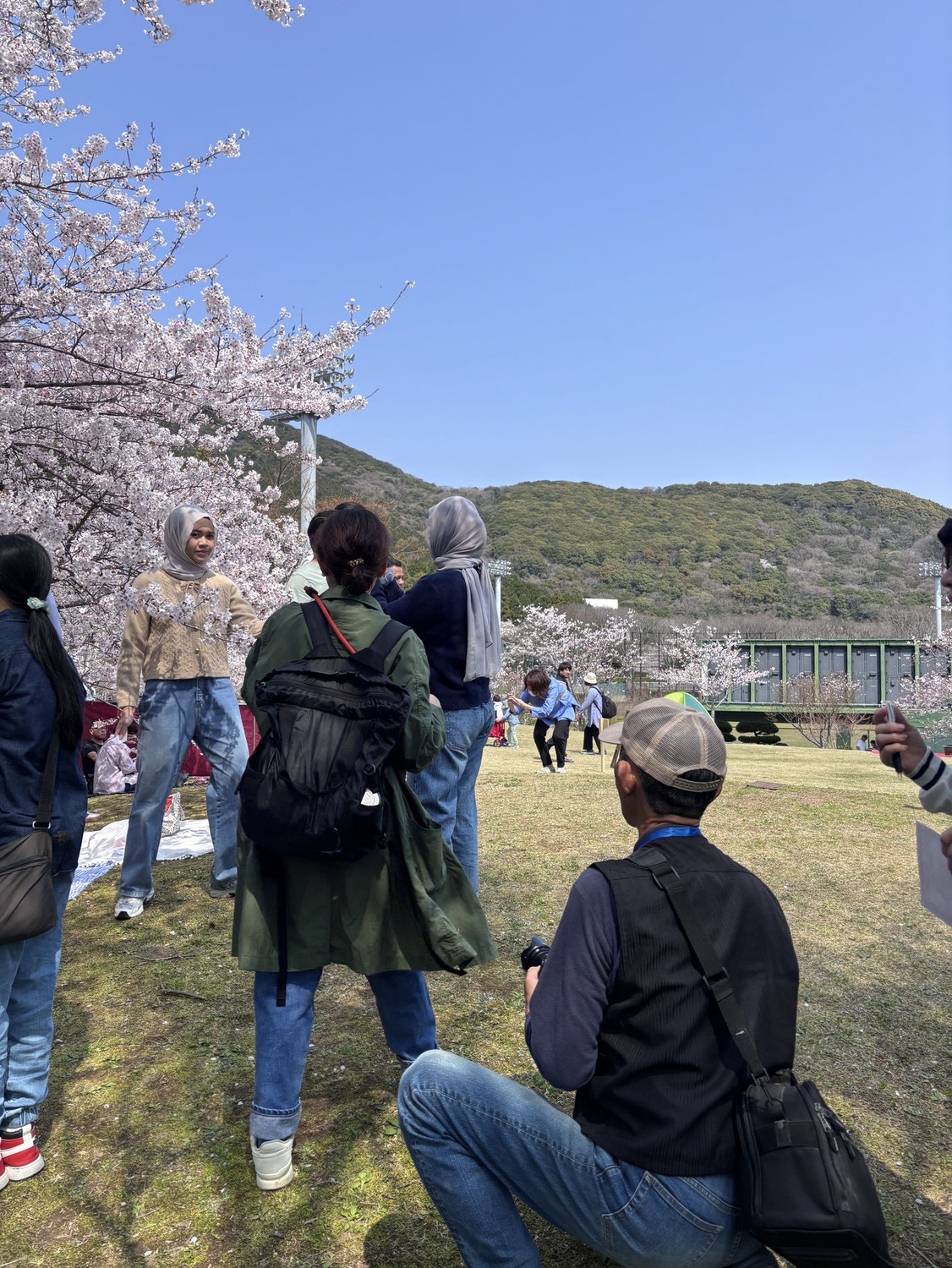 お花見撮影会を行いました