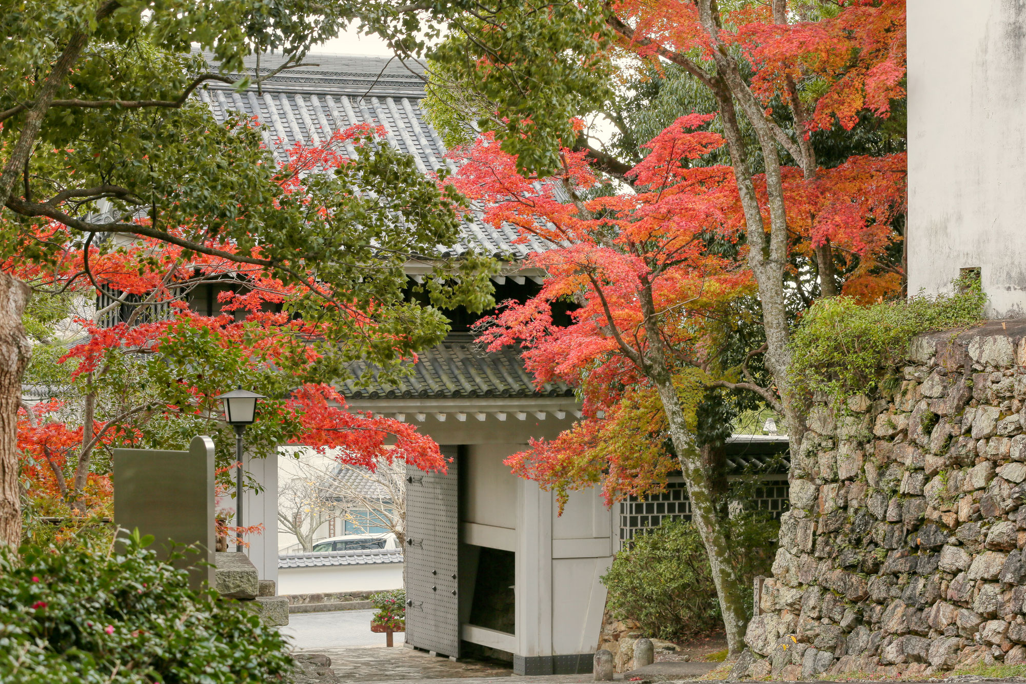 田原市博物館の紅葉が綺麗です