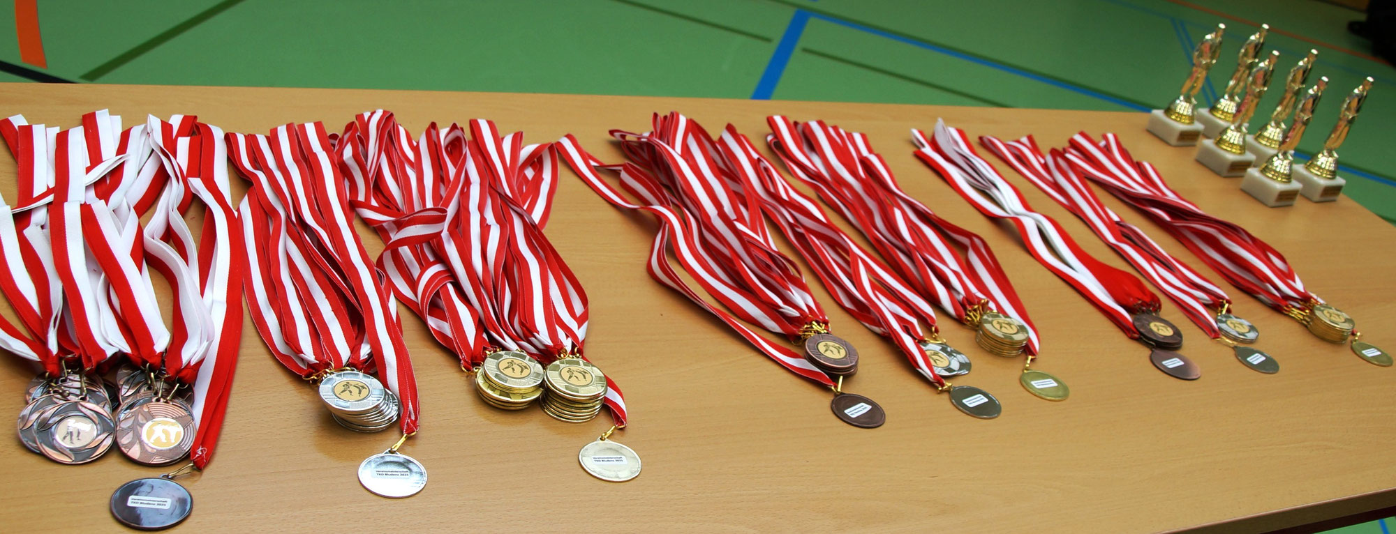 Vereinsmeisterschaft 2025 Poomsae & Kyorugi