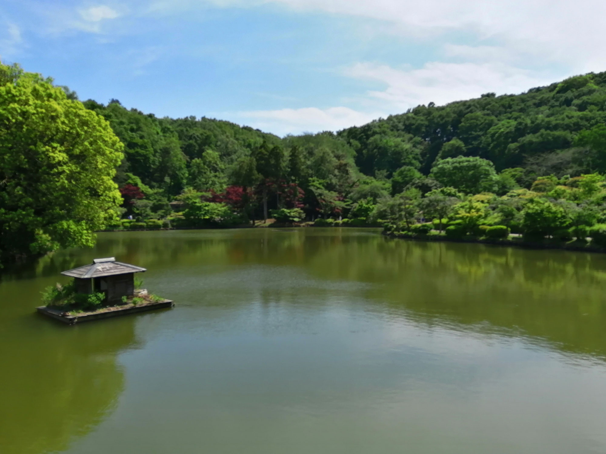 コロナですが町田・薬師池公園に行って来ました　These Dreams♪