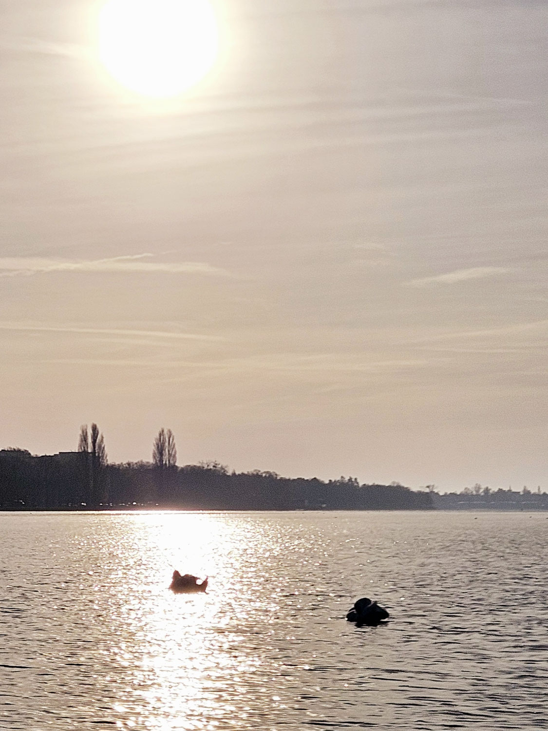 Tenchi Chōwa - Dojo Jahresthema 2025