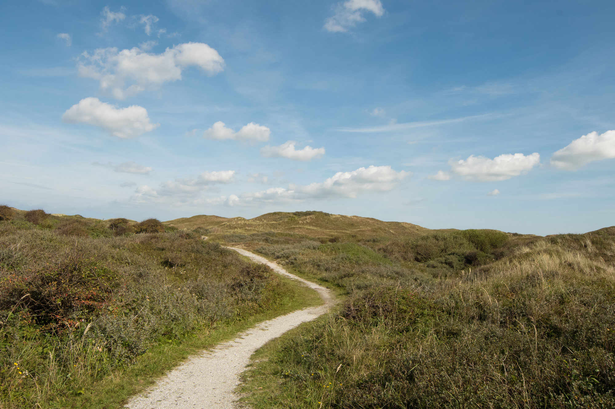 Vogelparadies Texel