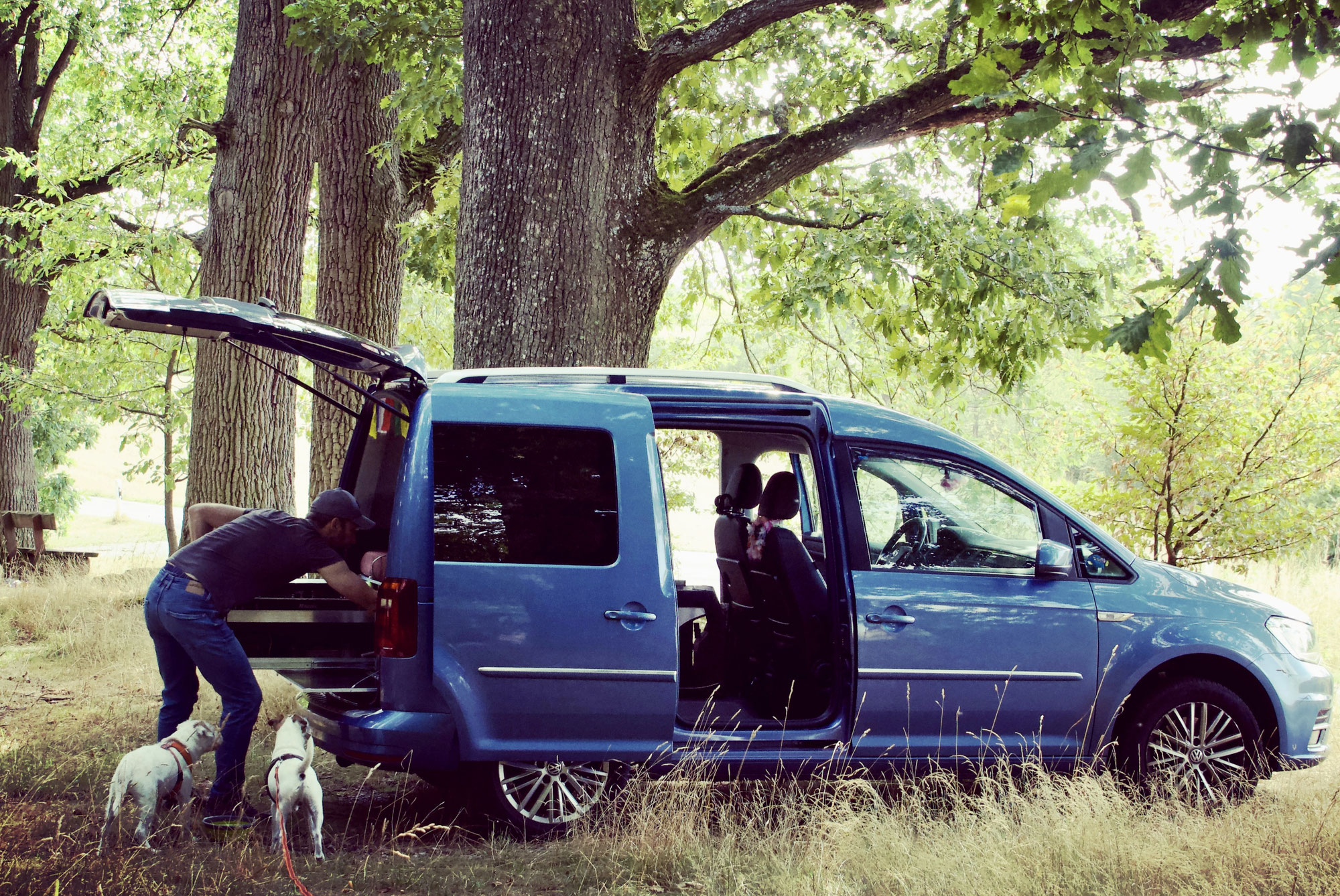 Camping und Reisen mit Hunden