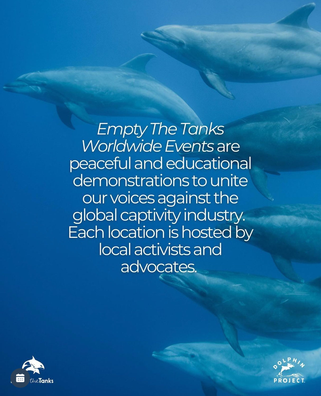 Internationaler Protest: Empty the Tanks