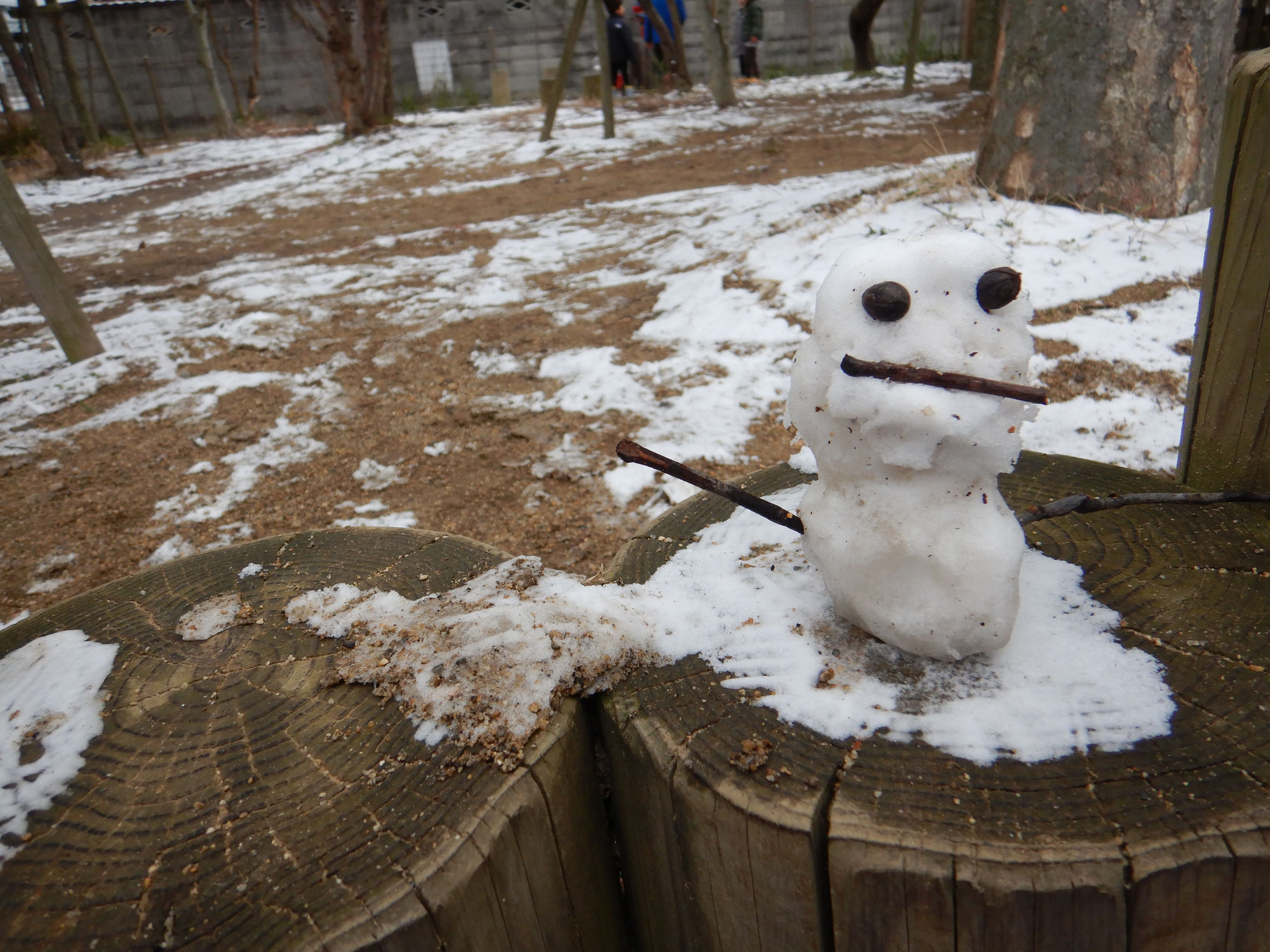 雪合戦しよう