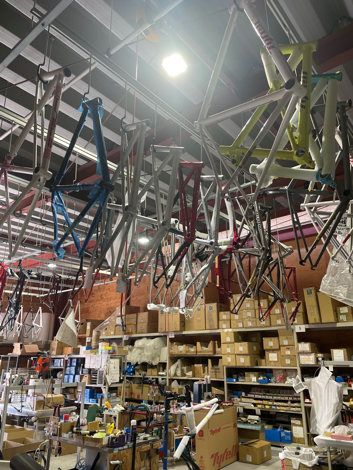 Tyrell festival 2023のお知らせ