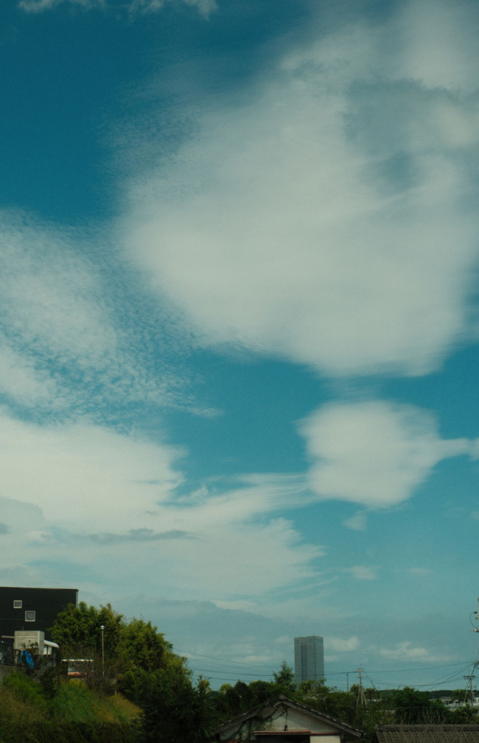 秋空が良い色。▪️241008