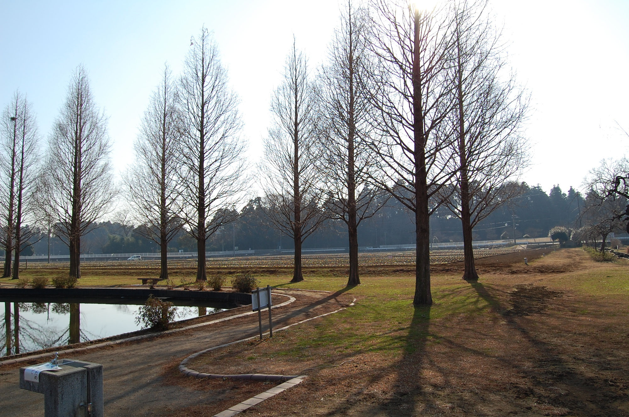 自己紹介 - 経済ライター 平木 恭一