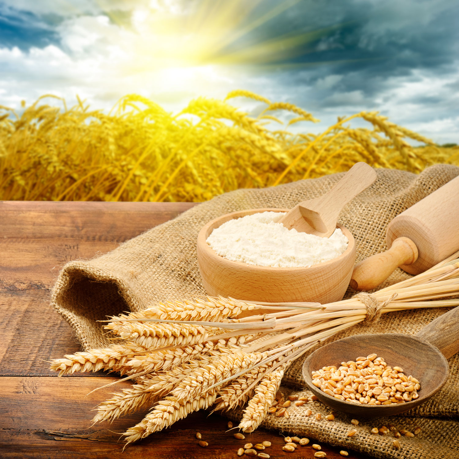 Welches Getreide ist gesünder? Dinkel  oder Weizen?
