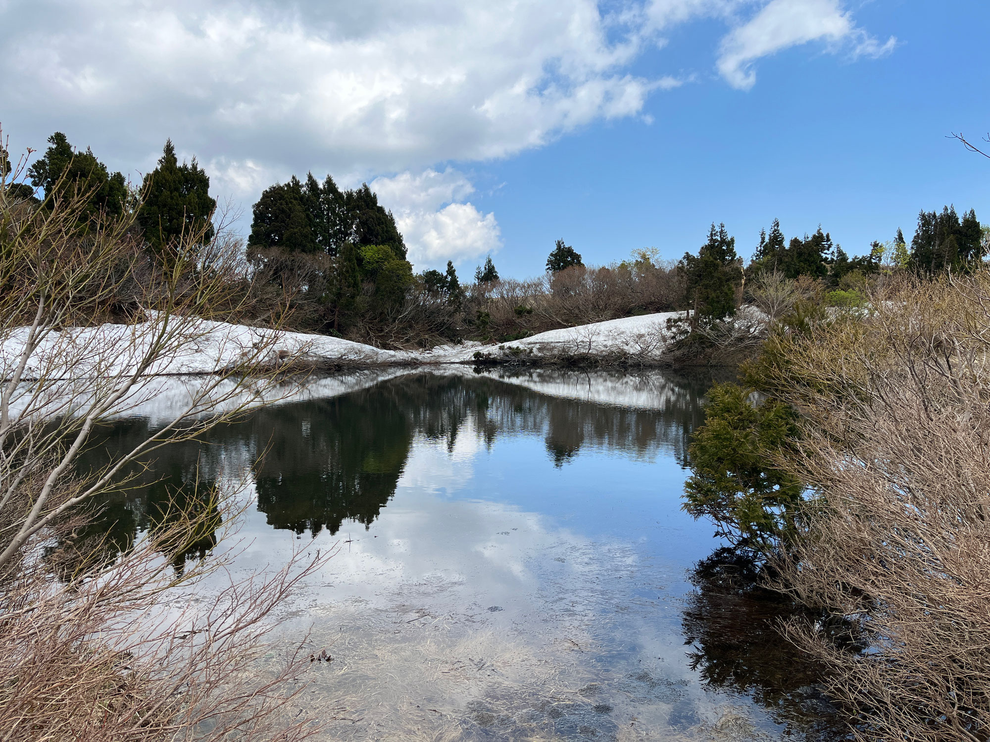 日本一の花の島：佐渡１