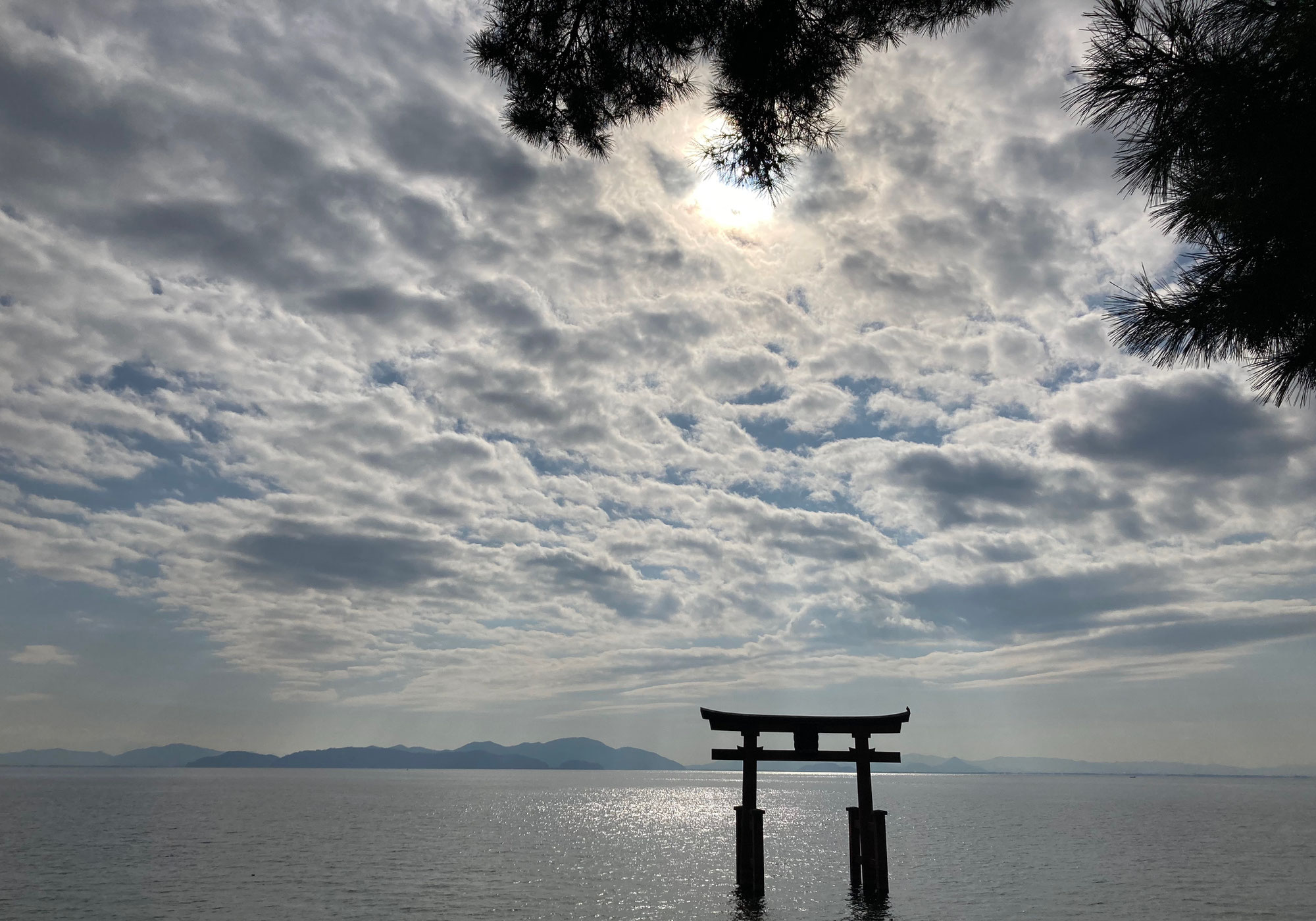 シャスタから帰国