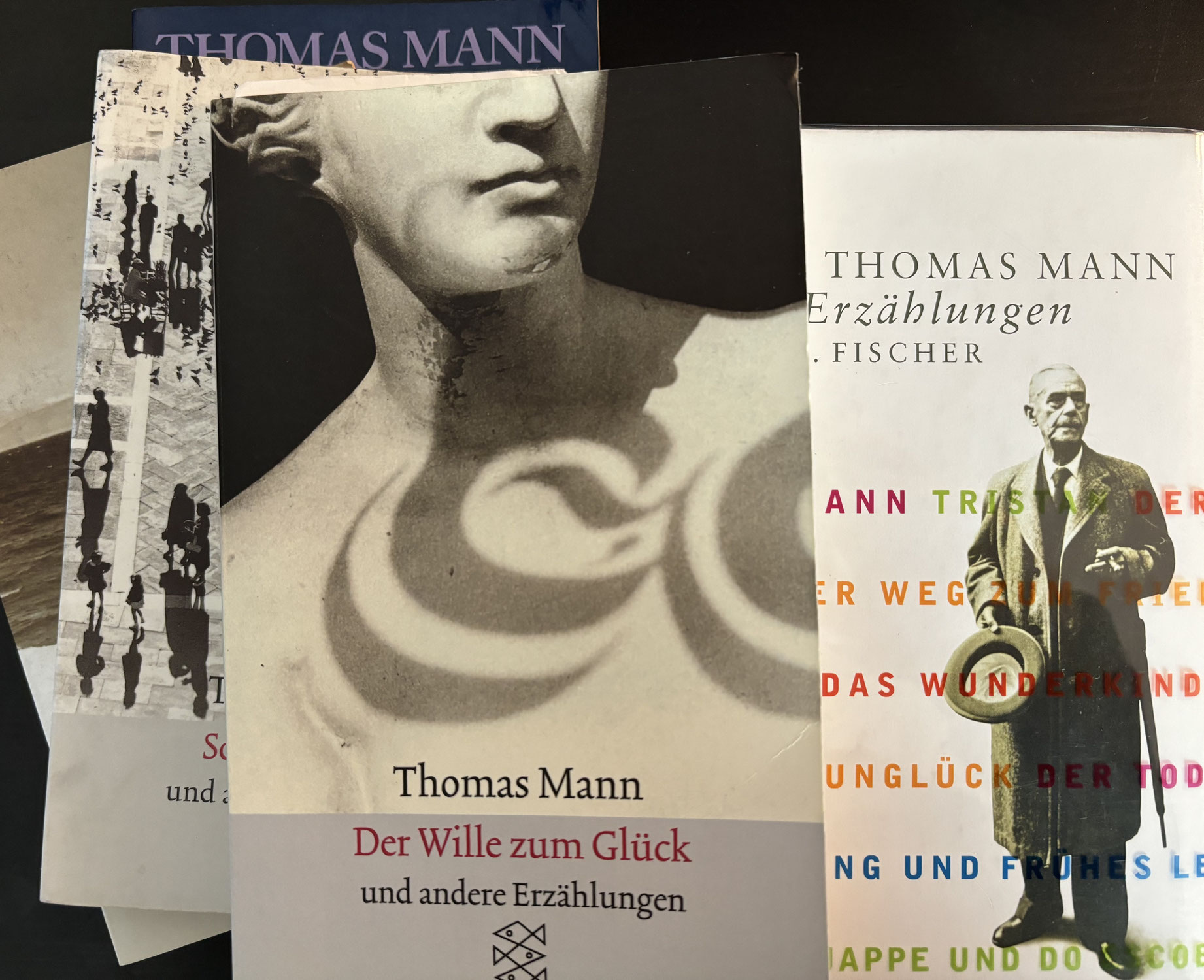 Wer hat Angst vor Thomas Mann?