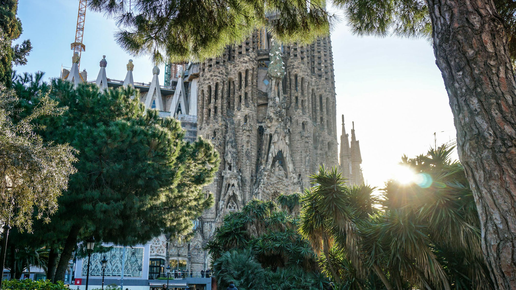 Sagrada Familia: Architecture in Europe takes root with biomimicry !