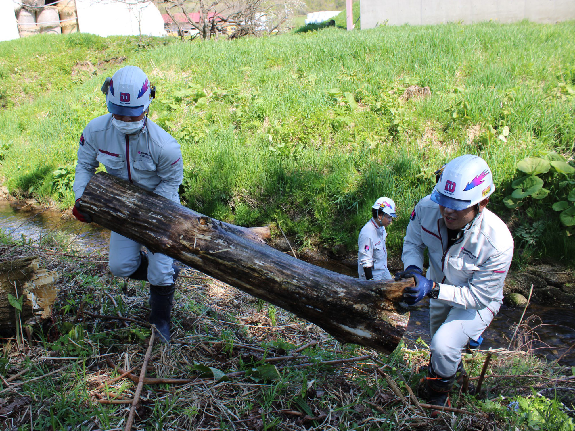 広尾町で伐開ボランティアを行いました