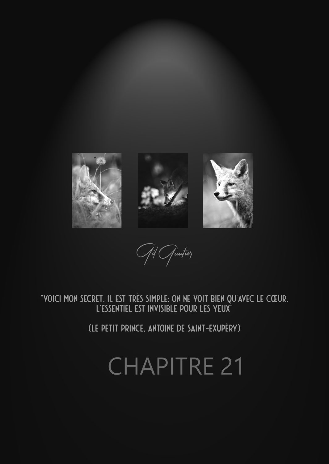 EXPOSITION "CHAPITRE 21" 2021