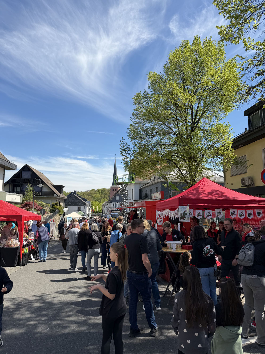 Mucher Frühling