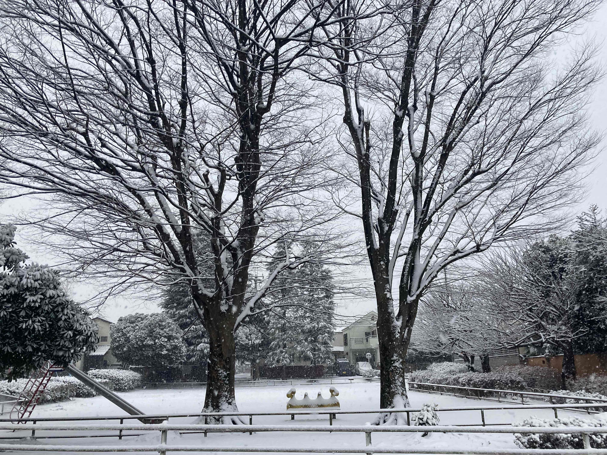 東京は4年ぶりの大雪でしたね