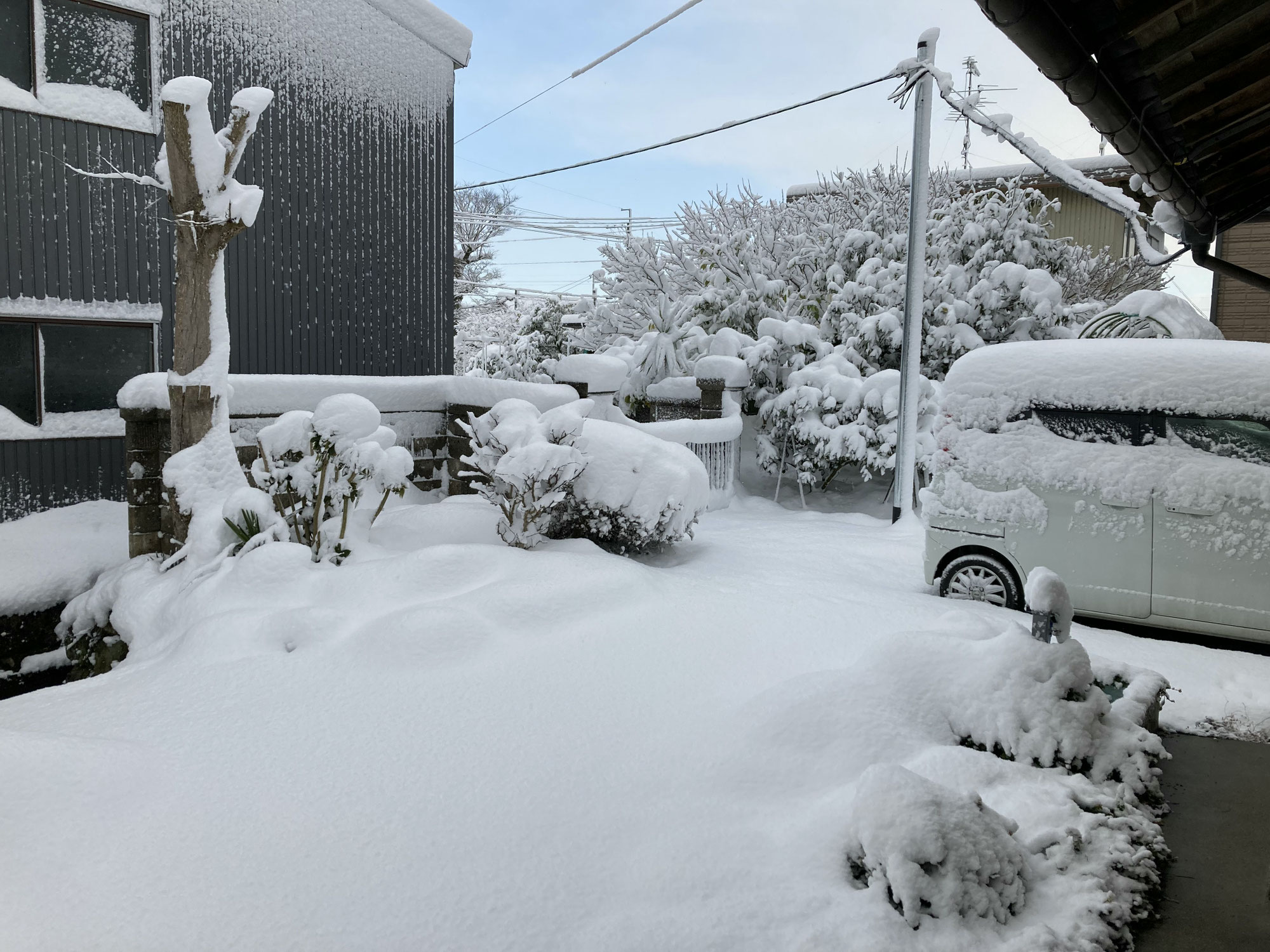 雪