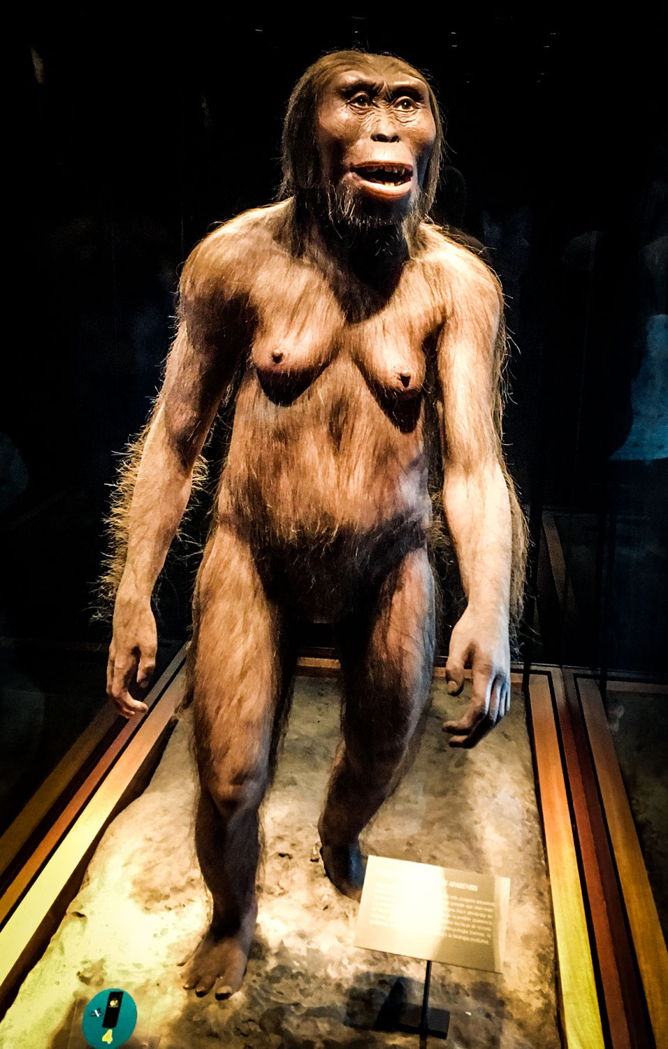 (10) Was ist ein Mensch?