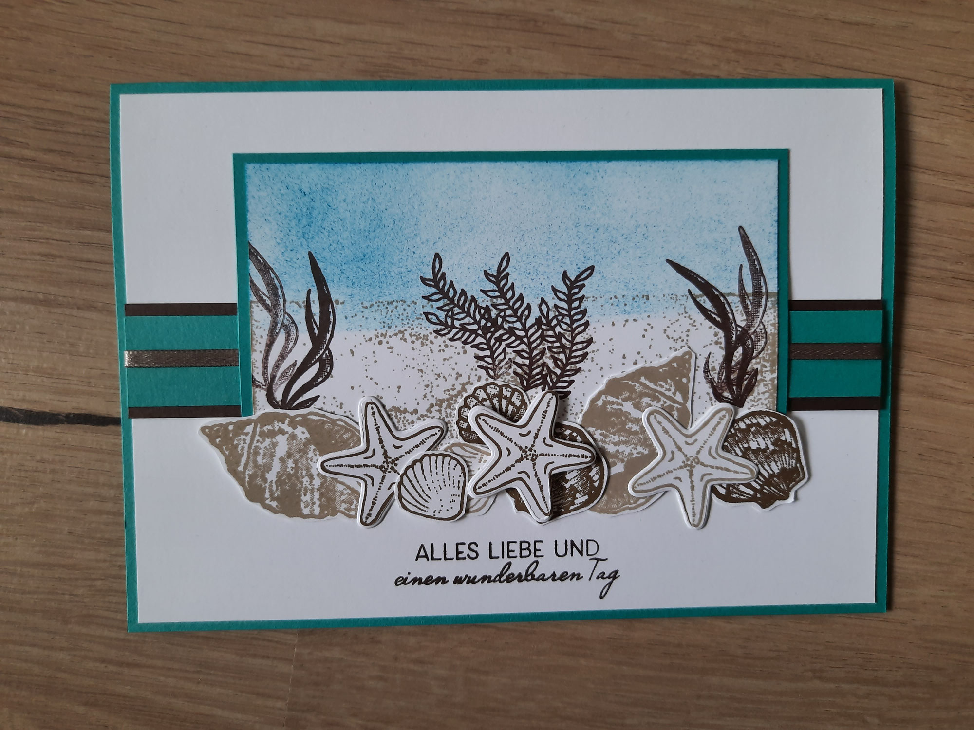 1 Set - viele Ideen - Wie Muscheln (1)