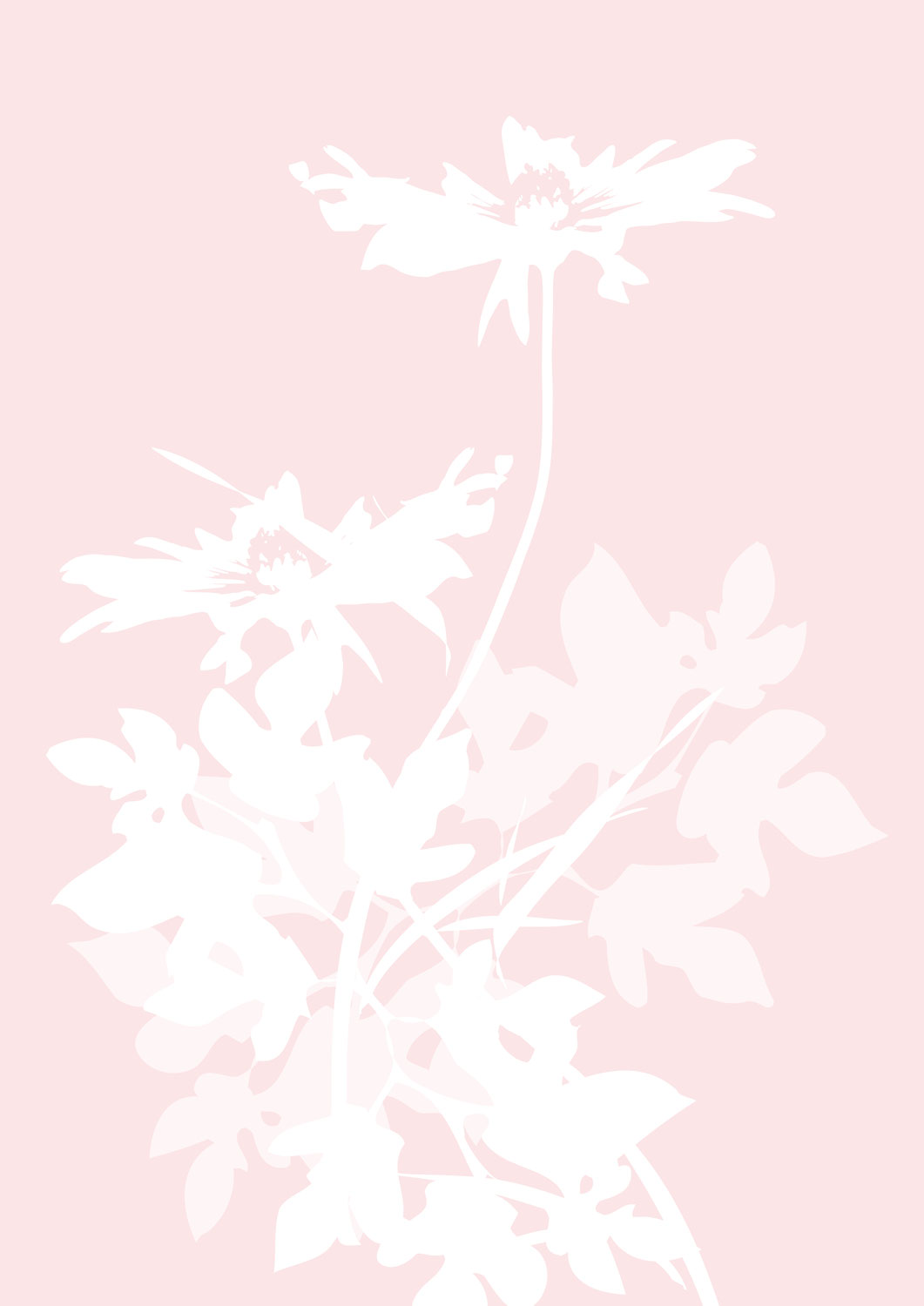 双子 の い い な り 性感 開発 ボイス