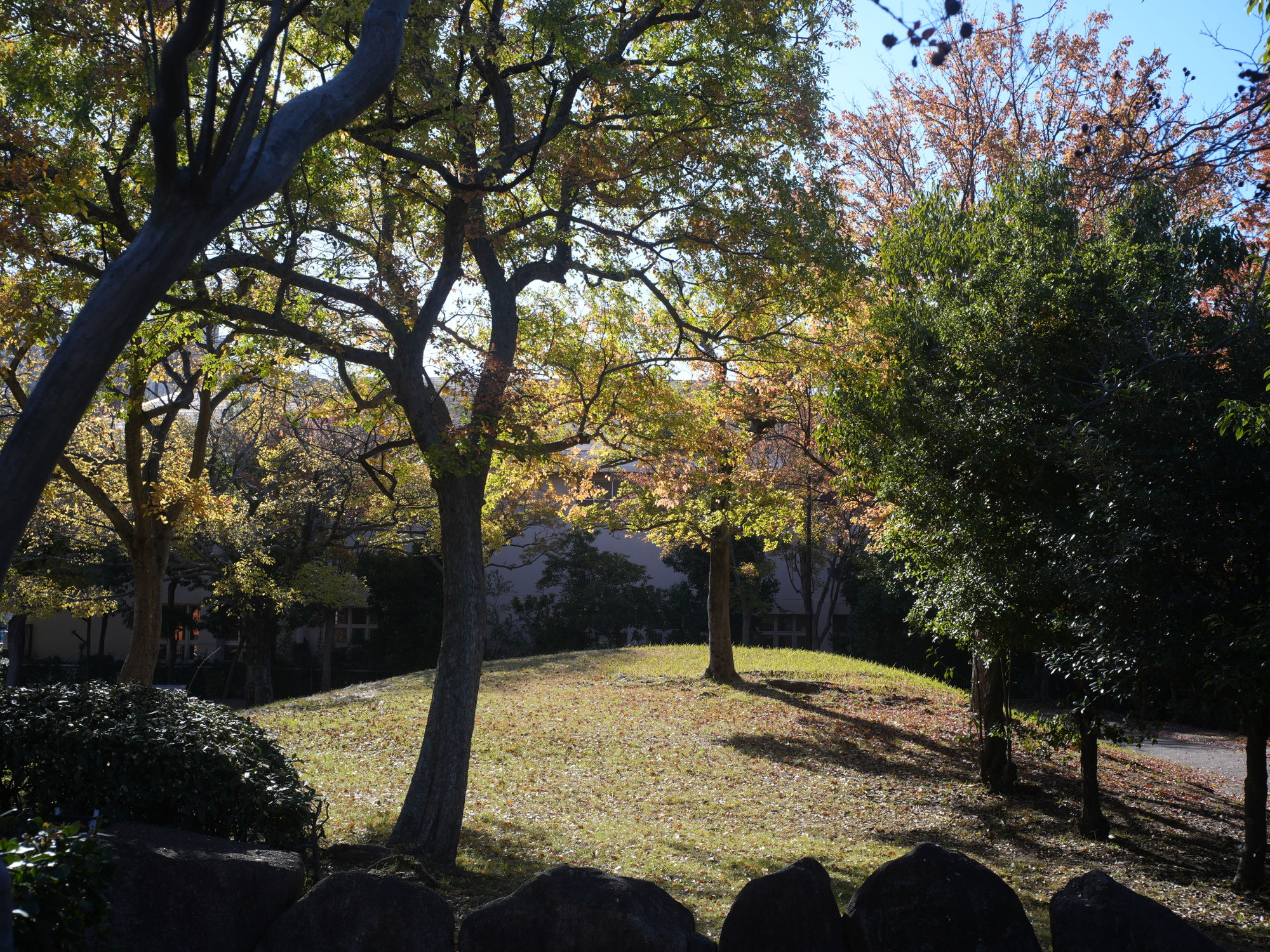 Snap at Summaron-001「午後の公園」