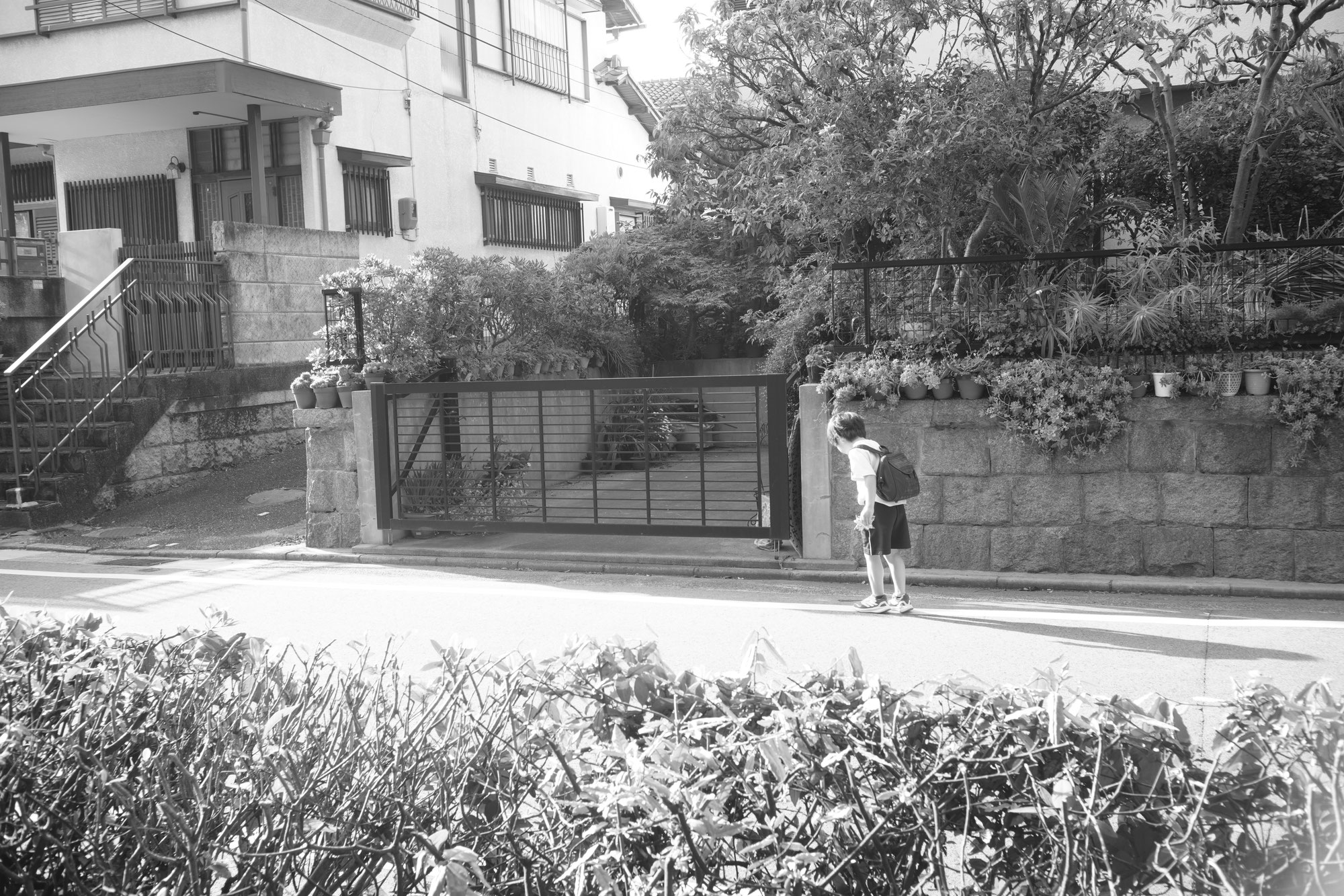 Snap with Summaron - 134「見つけた」