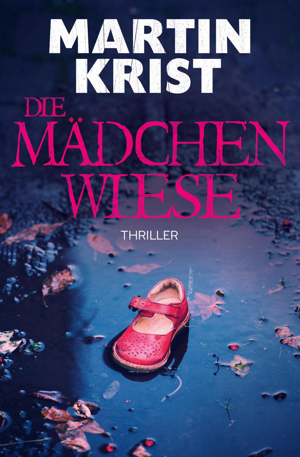 Beschauliches Dörfchen oder Vorhof zur Hölle? - Rezension zu "Die Mädchenwiese"