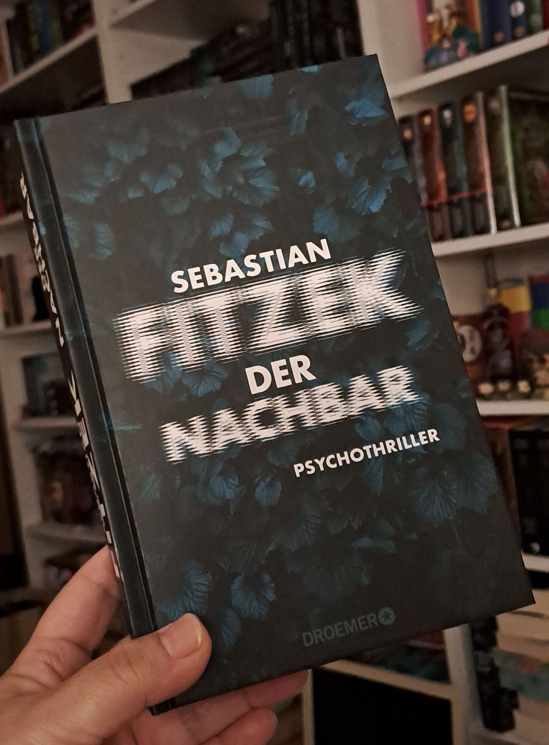 Auf gute Nachbarschaft - Rezension zu "Der Nachbar"