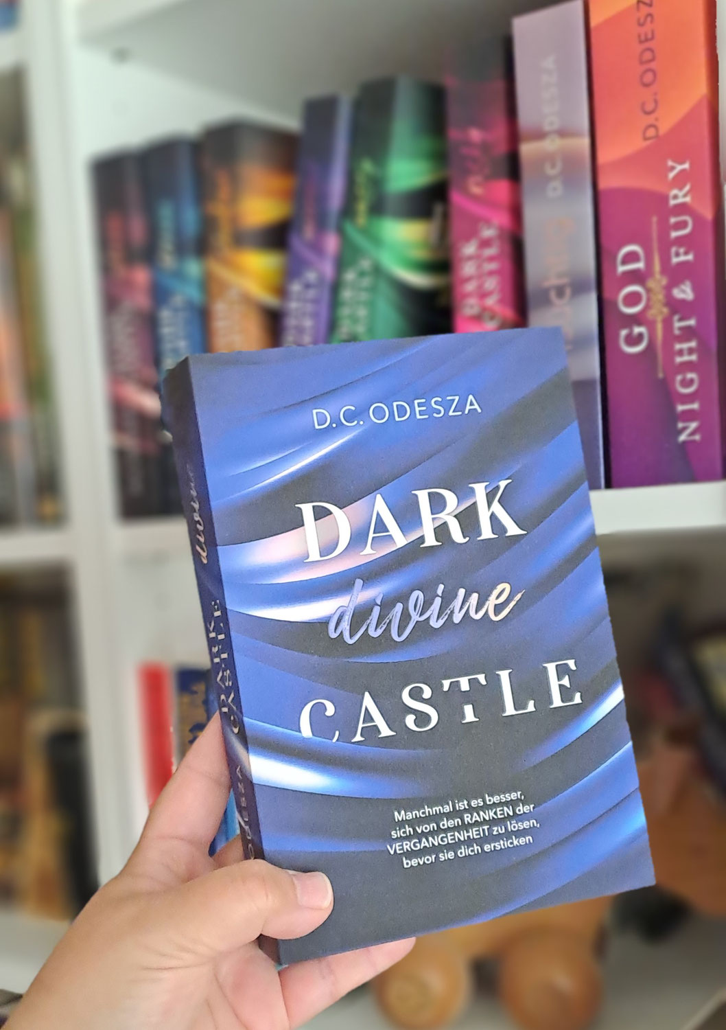 Es wird zunehmend dunkler - Rezension zu "Dark Devine Castle"