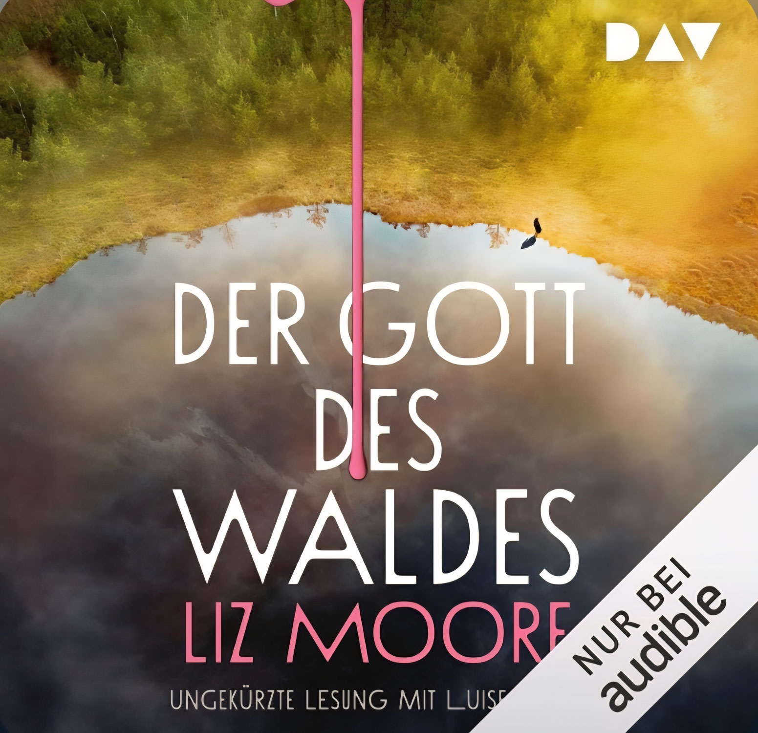 Vermisst - Rezension zu "Der Gott des Waldes"