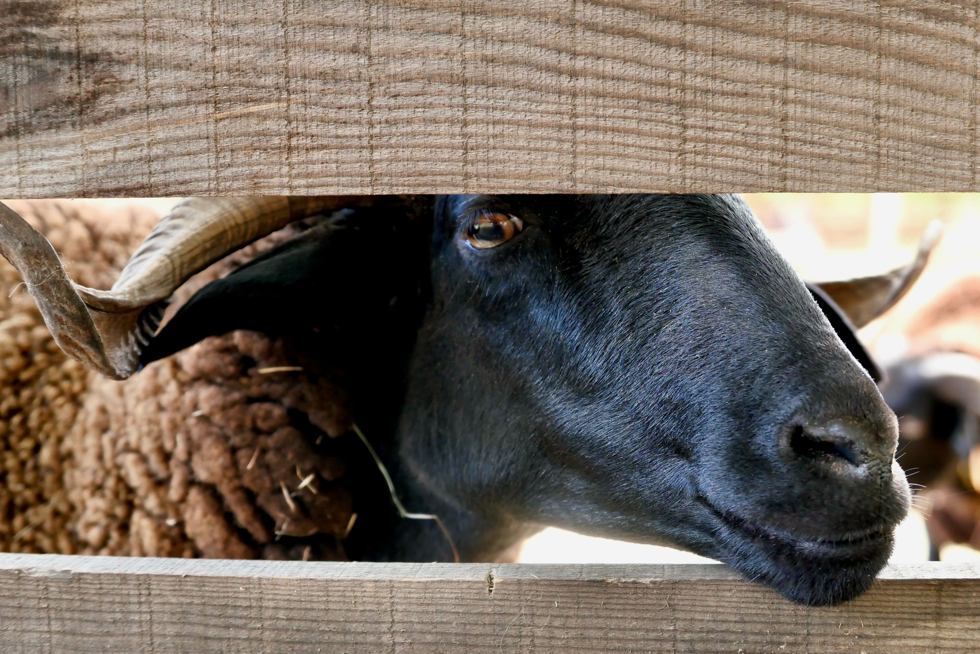 are you talking to me?