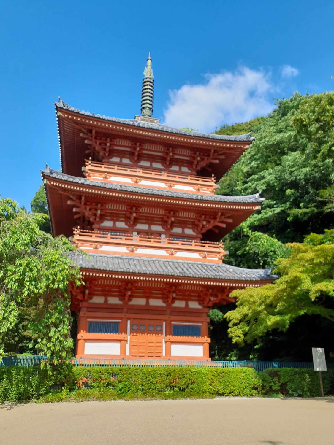 森林浴と史跡探訪清水山ウオーク