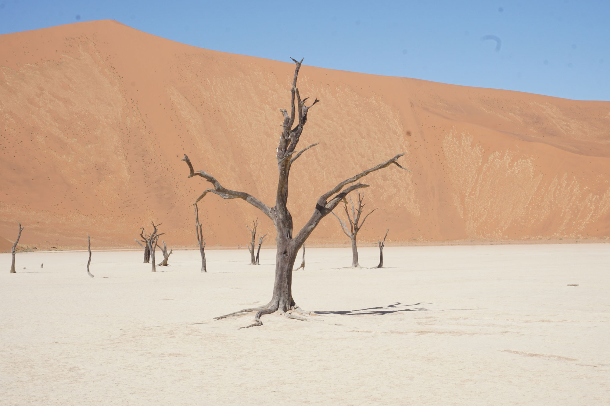 Unterwegs in Namibias Süden