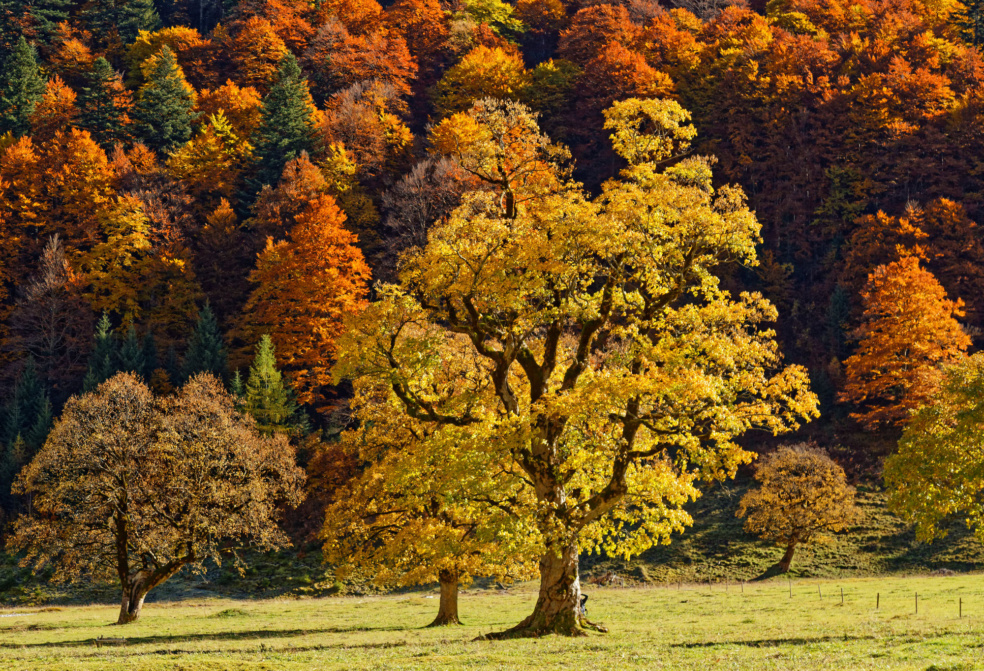 Herbstfarben des Karwendel
