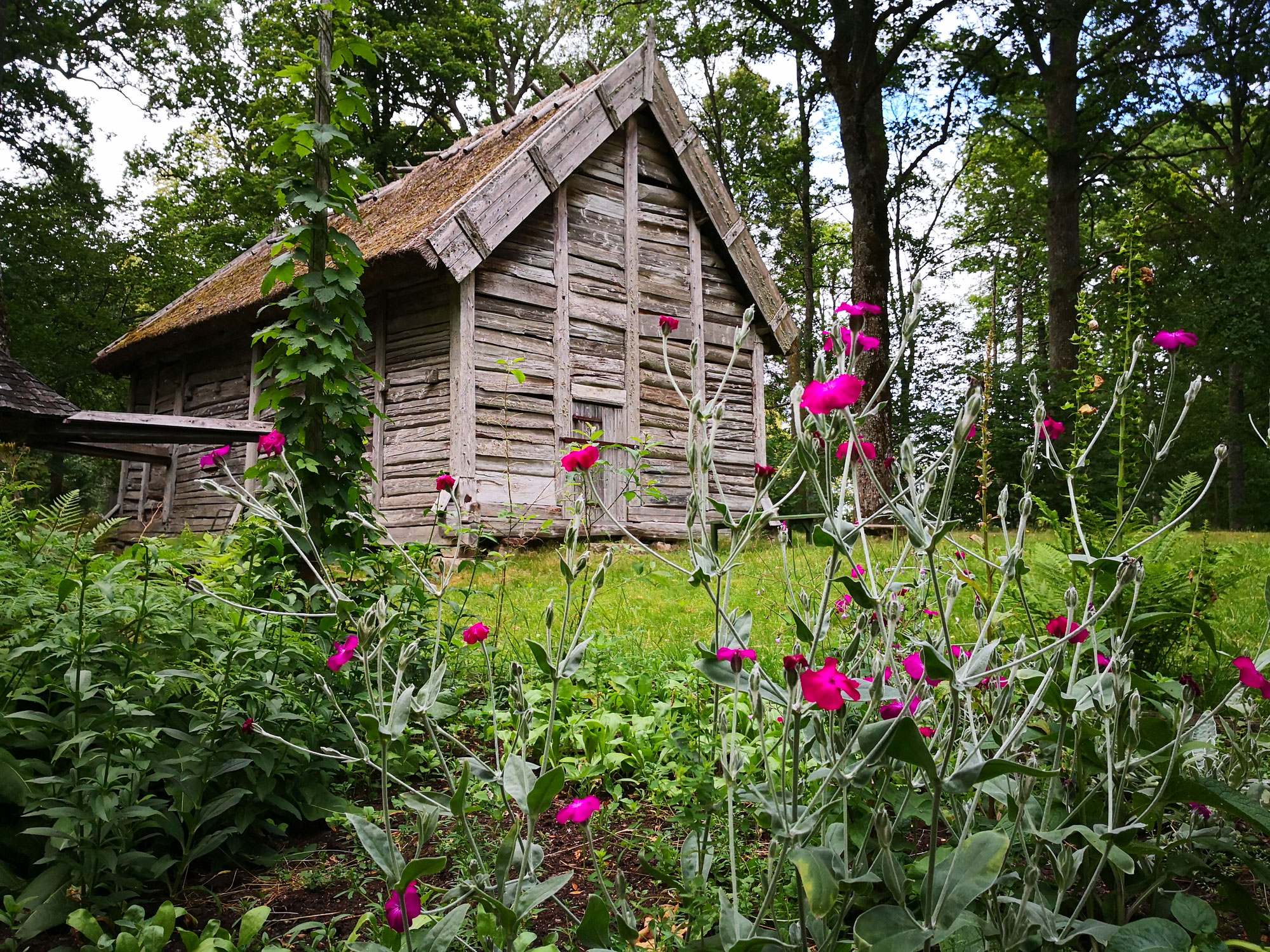 Glad midsommar! - Bonne Midsommar !