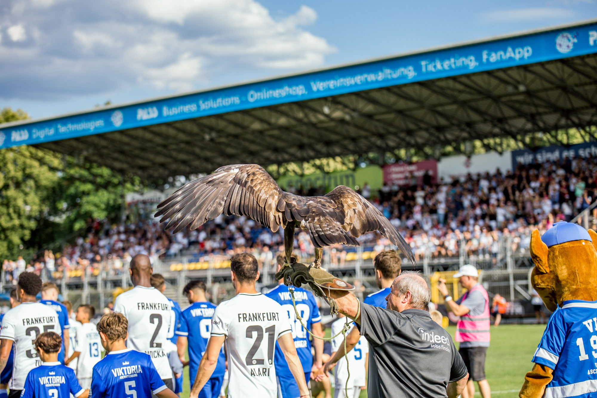 Groundhopping: SV Viktoria Aschaffenburg vs. SG Eintracht Frankfurt