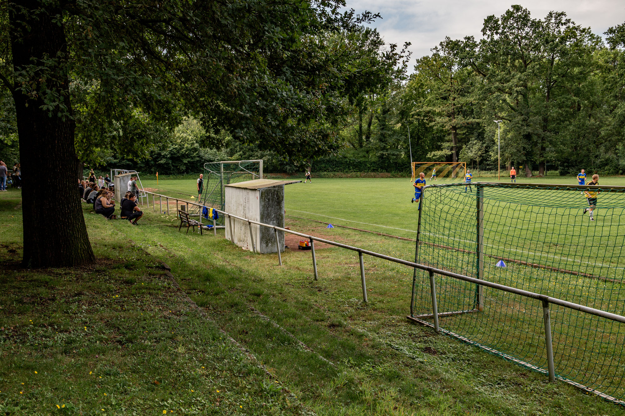 Groundhopping: Großenhainer FV II vs. SV Strehla