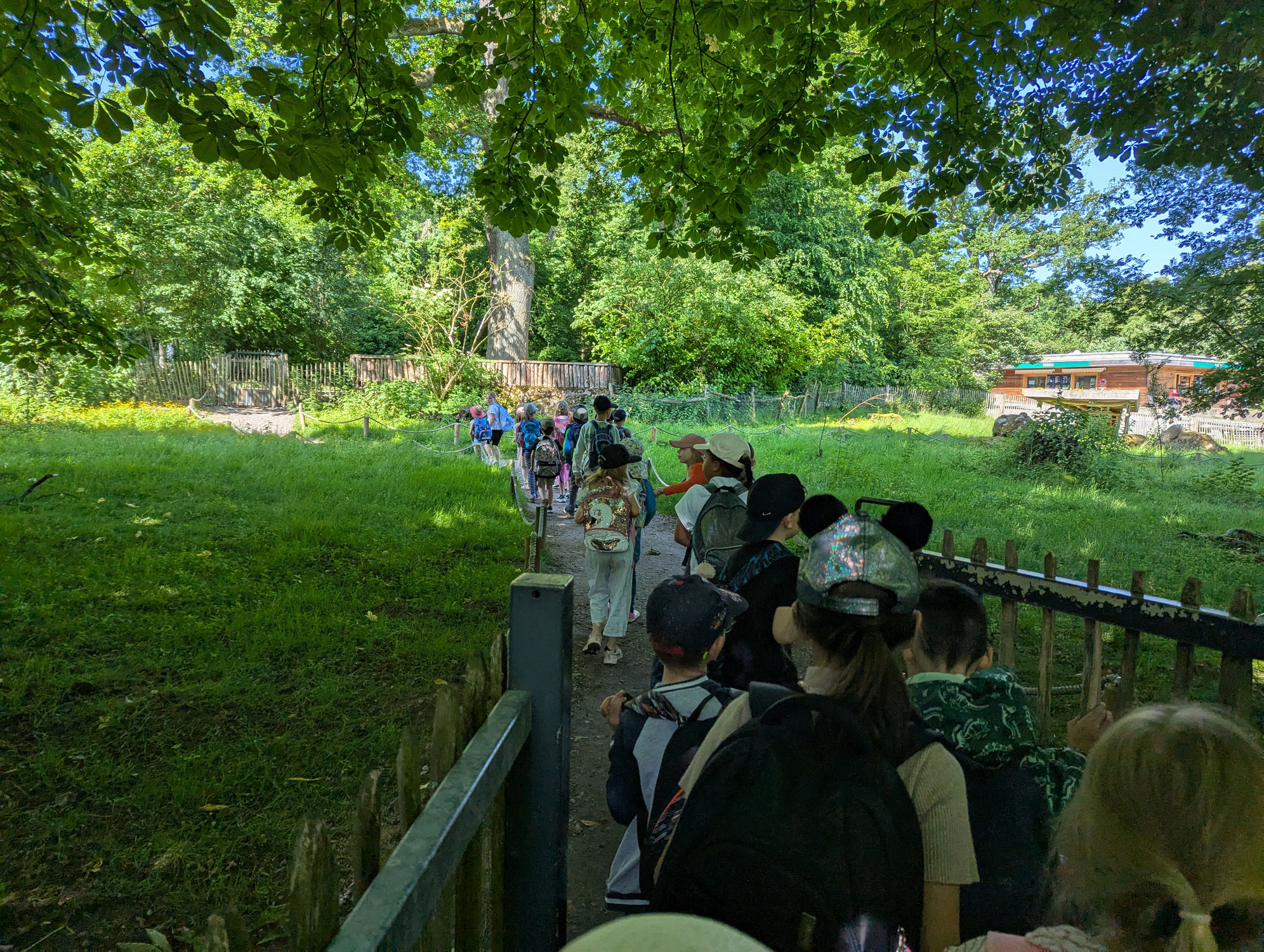 Ausflug der Eingangsstufe in den Tierpark Sababurg