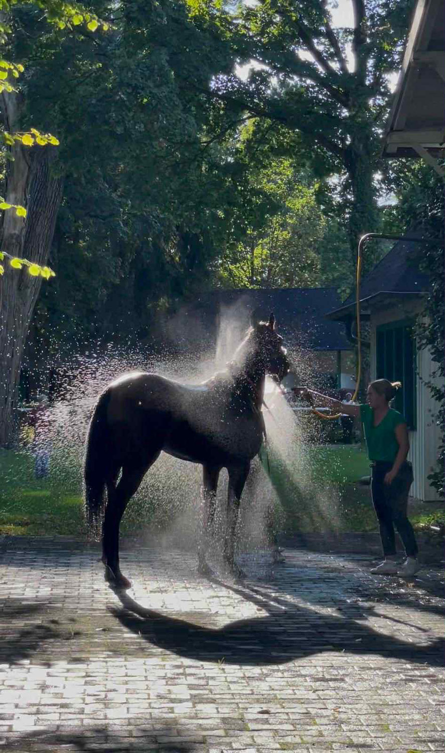 Richtig Kühlen & Waschen